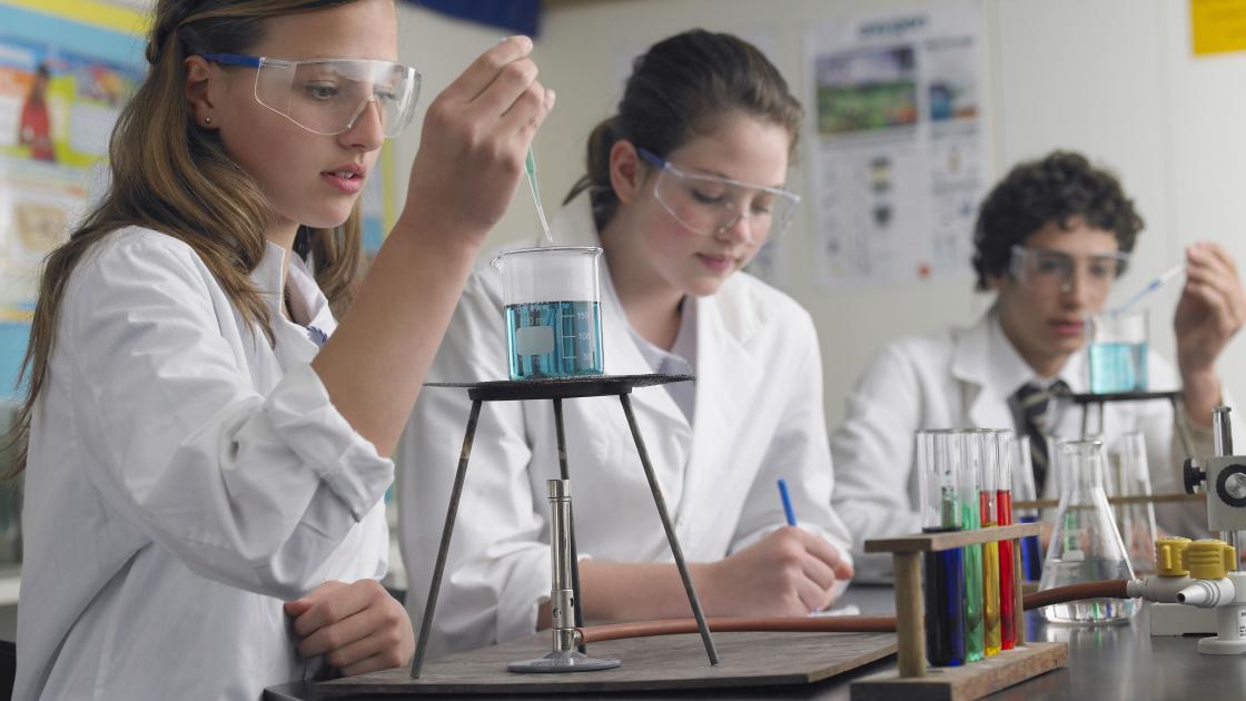 Intercâmbio de High School na Inglaterra com Diploma em Environmental Studies Intercâmbio de High School na Inglaterra com Diploma em Environmental Studies