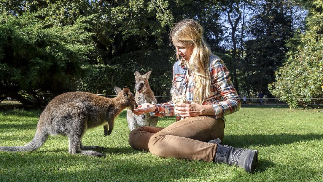 Foto de estudante de high school a estudar no estrangeiro na Austrália